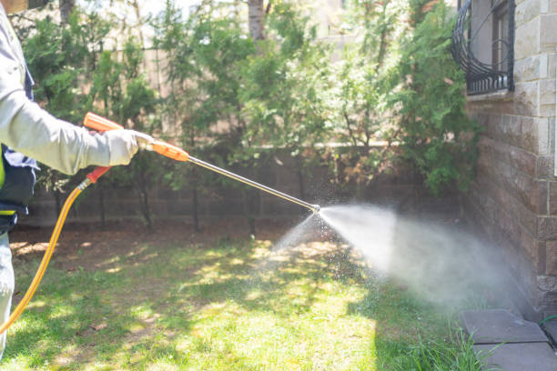 Best Exterminator Services  in Bronson, FL