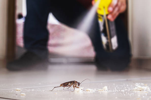 Pest Control Cost in Bronson, FL