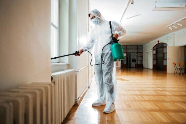 Best Mosquito Control Services  in Bronson, FL